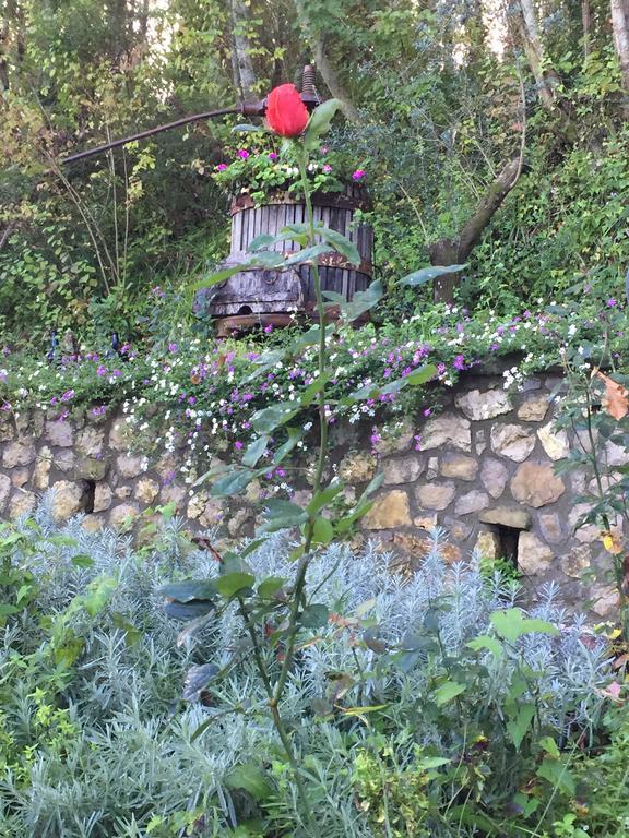 Il Casale Del Mirto Villa Vico Equense Bagian luar foto