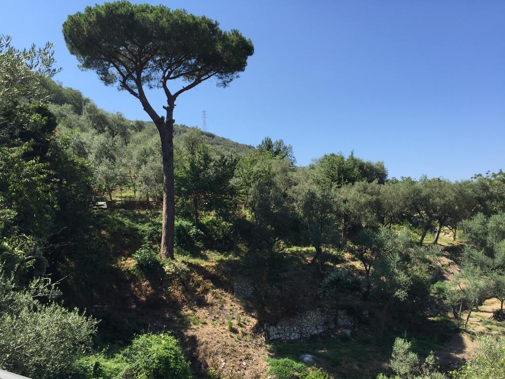 Il Casale Del Mirto Villa Vico Equense Bagian luar foto
